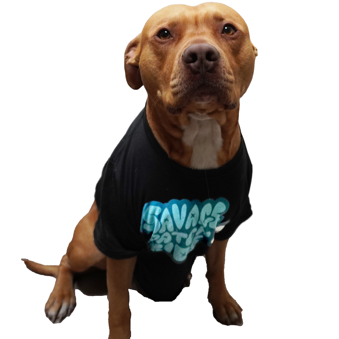 Adult Blue Savage Smile Tee