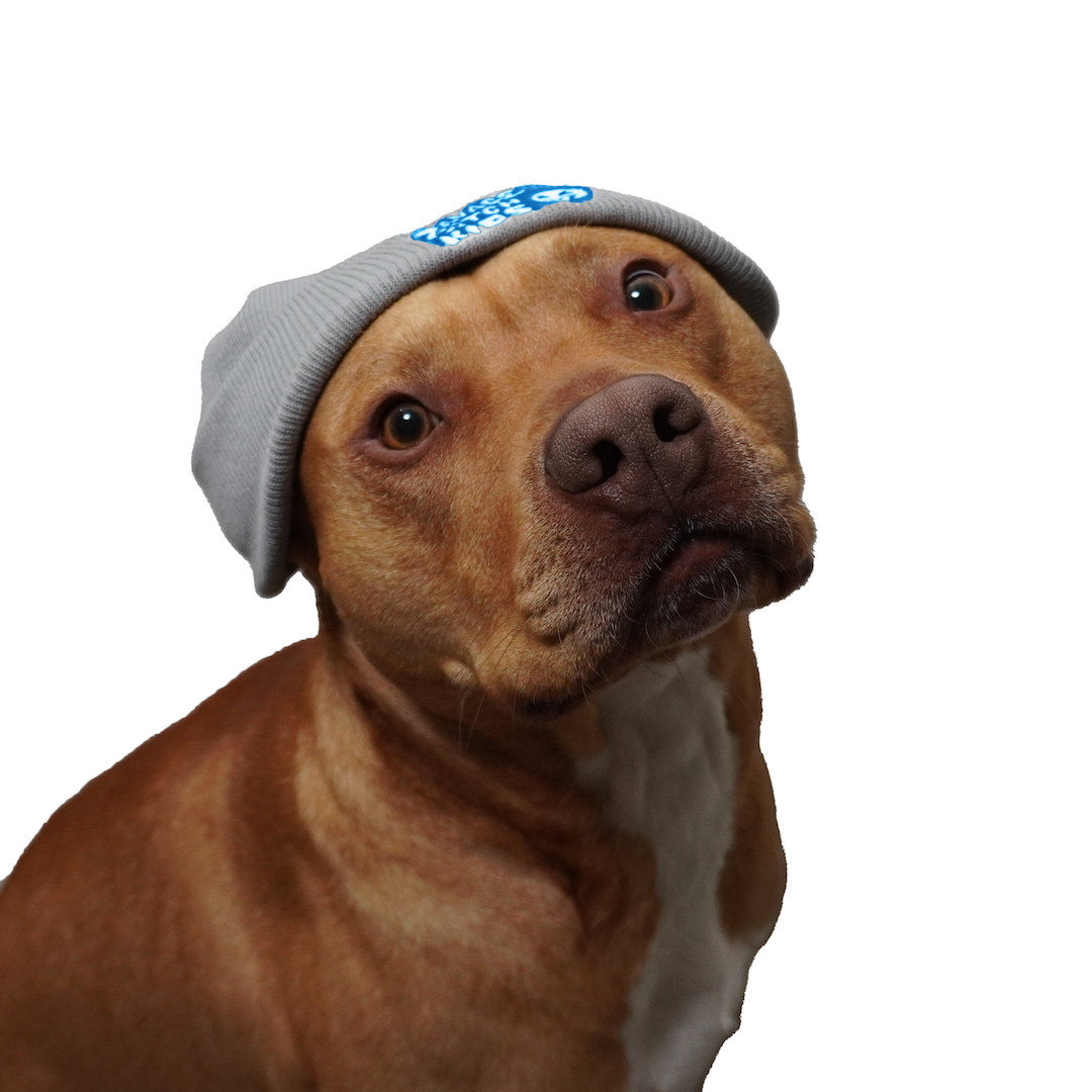 Blue Savage Smile Beanie
